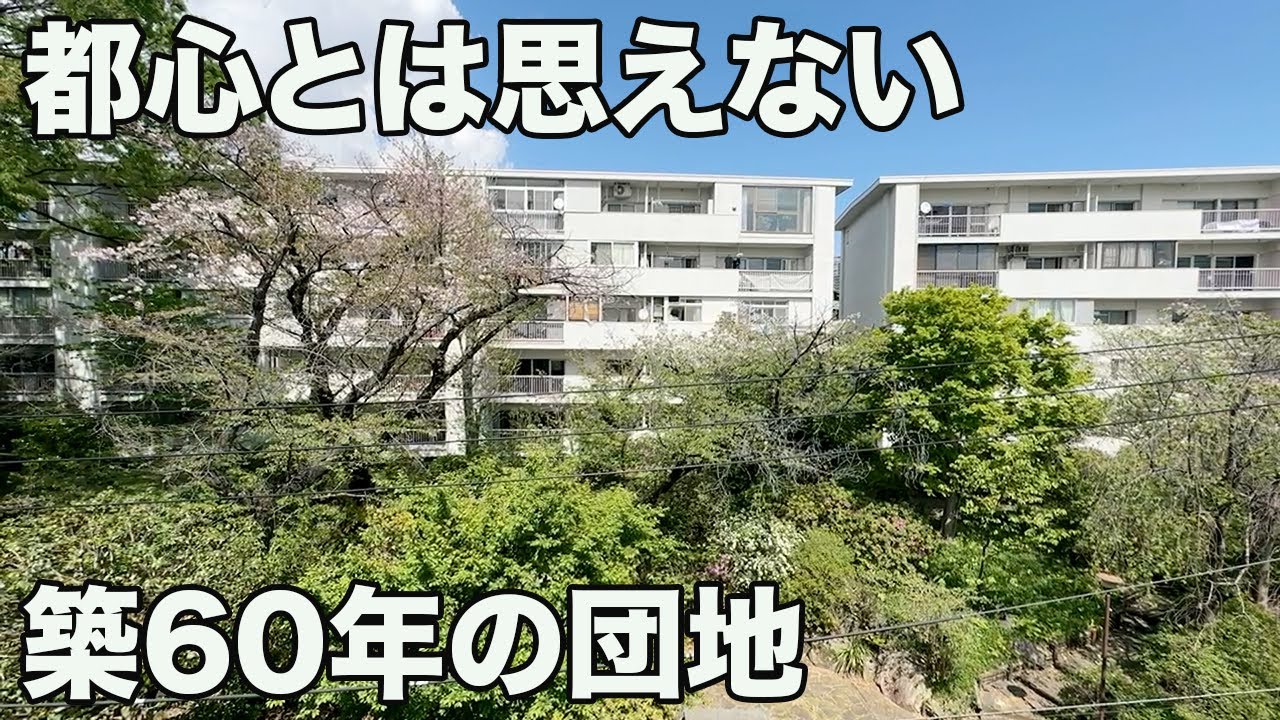 #258【昭和レトロな団地】都心なのに鳥のさえずる声が聞こえる部屋を内見