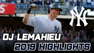 DJ LeMahieu | 2019 Highlights