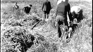 1938 Hurricane Hits New England