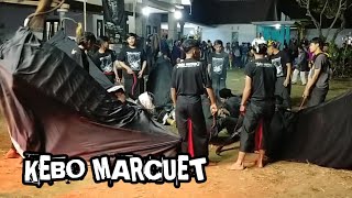 KALAPAN BANTENGAN KEBO MARCUET live Baran Sukoanyar Wajak