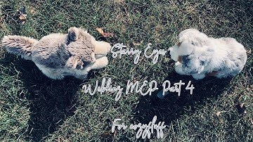 Starry Eyes Webkinz MEP part 4 for cozyfluff