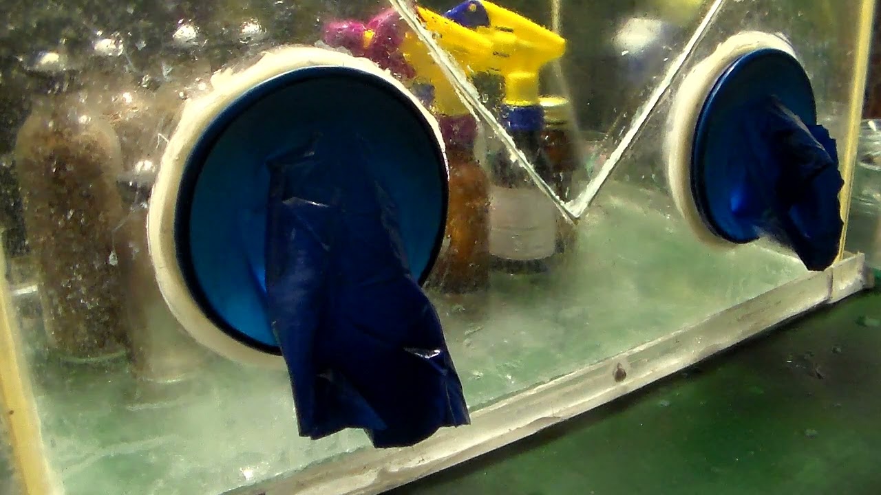 Лабораторные работы,виноградные палочки,выделение ведущих мицеллярных колоний,отбор  культуры