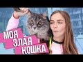 ОНА МЕНЯ НЕ ЛЮБИТ / ГУЛЯЮ С КОШКОЙ