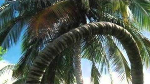 القارئ سعيد باعامر فجرية ١٦ جمادي الأول ١٤٣٧هـ