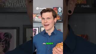 Celebrity Create the Perfect Enclosure for Your Blood Python! Net Worth