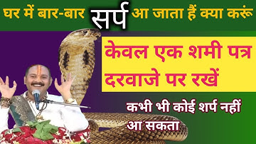 घर में सर्प ना आने का उपाय | saap ko bhagane ka tarika | Sami Patra ke upay #pradeepmishraji