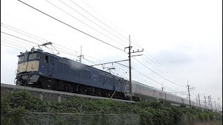 【JR東日本】武蔵野線を走行するEF64 37号機牽引のカシオペア信州