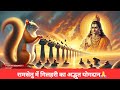 रामसेतु में गिलहरी का अद्भुत योगदान🙏#shorts #ytshortsbhakti