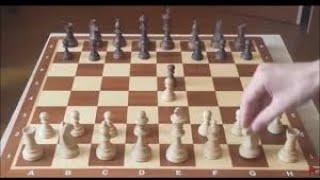 ЭТОТ МАТ ПОЛУЧИЛ МЕДАЛЬ ЗА КРАСОТУ🥇! Самая коварная ЛОВУШКА в шахматах! Шахматы дебют