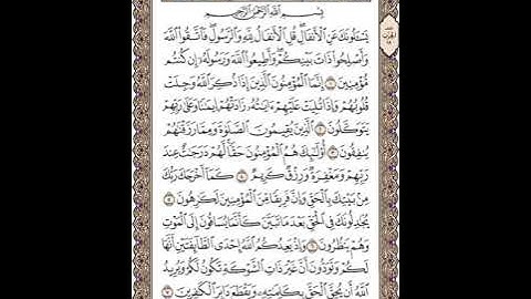 سورة الأنفال للشيخ زكي داغستاني رحمه الله