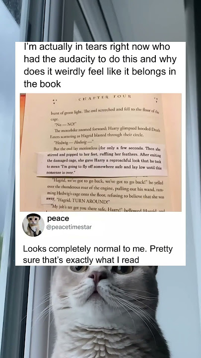 Pretty sure that was in the book