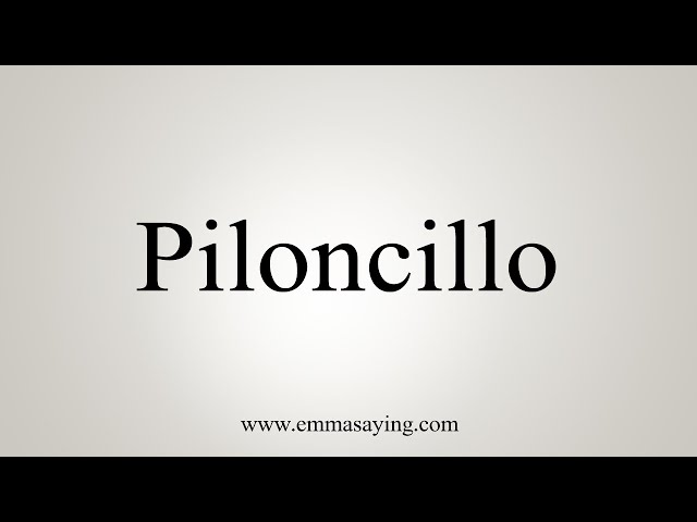 Piloncillo synonyms - 42 Words and Phrases for Piloncillo