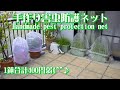 家庭菜園🥬に効果絶大の🦋害虫防護ネット100円レシピ😃🌈💞Handmade homegarden pest protection net recipe