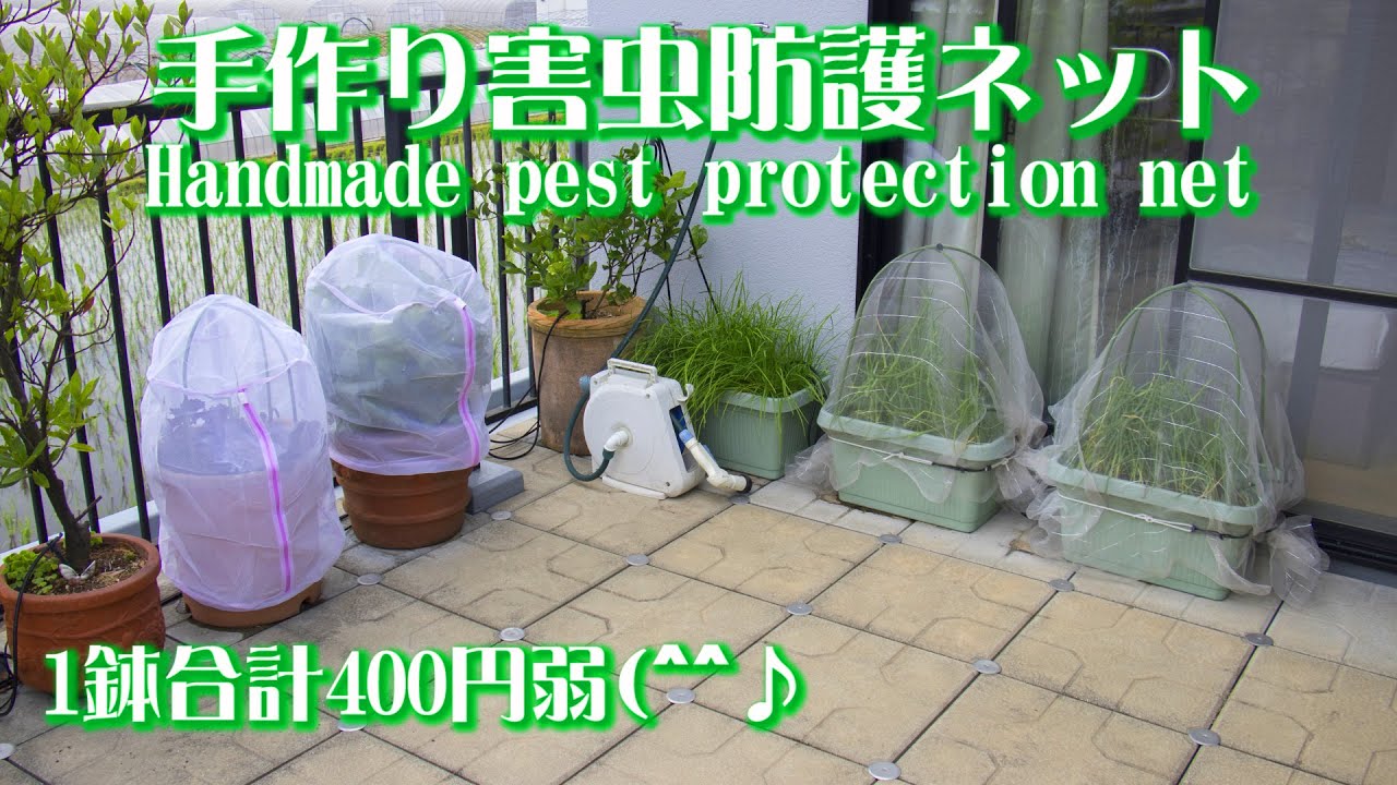 家庭菜園 に効果絶大の 害虫防護ネット100円レシピ Handmade Homegarden Pest Protection Net Recipe Youtube