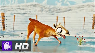 Celebrity CGI Animated Short Film "Caminandes 3: Llamigos" by Blender | CGCollection Profile