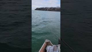 Lake Ontario brown trout   fishinglife fishing america