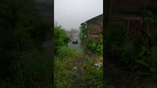 Peaceful Countryside Rain Sounds for Stress Relief and Better Sleep