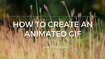 How to Create an Animated GIF