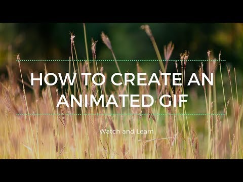 How to Create an Animated GIF