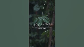 سورة التين | الشيخ أحمد بن علي العجمي | #قران_كريم | #المصحف
