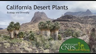 Michael Kauffmann: California Desert Plants: Ecology and Diversity