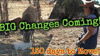Big Changes Coming to the Homestead/150 Day to get Moved Before the Snow Falls Again. Going Off Grid by Martin Midlife Misadventures 4,153 views 2 weeks ago 9 minutes, 10 seconds