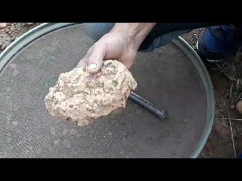 Vídeo: Em que tipo de rocha a diatomita é encontrada?