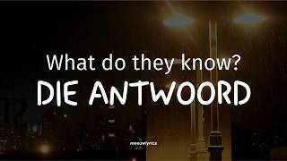 WHAT DO THEY KNOW? - Die Antwoord (Sub Español / English)