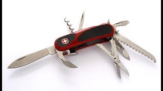 Evolutionary Psychology: The Human Mind as a Swiss Army Knife (THE SAAD TRUTH_582)
