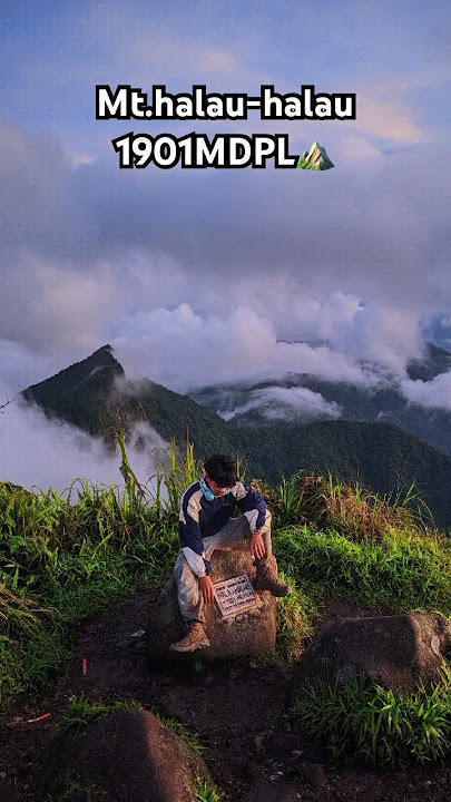 Mt.Halau-halau 1901MDPL⛰️#mthalauhalau #gununghalauhalau #hinaskiri #gunungbesar #kalimantanselatan