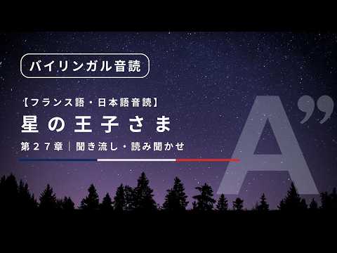FR/JP SUB] The Little Prince audiobook - chapter 27 | French - YouTube