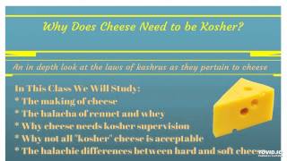 Kosher Cheese Production Part 1 screenshot 2