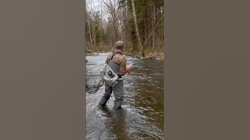 Euro Nymphing with a dry dropper with George Daniel. #troutfishing #flyfishing #euronymphing