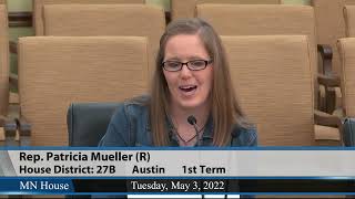Legislative Task Force on Child Protection 5/3/22