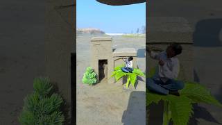Crazy funny amazing mini tree with home destroy#creative#funny#amazing#crazy#shorts
