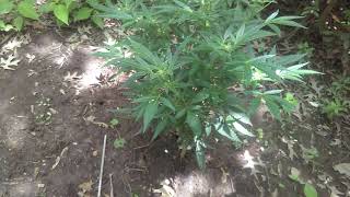 Outside update