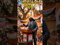 कॉकरोच जंनता पार्टी! follow ai work #shorts #reels #trending #viral #youtubeshorts #funny #video