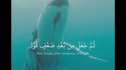 {الله الذي خلقكم من ضعف ثم جعل من بعد ضعف قوه} تلاوه تريح القلب الشيخ أحمد العجمي حاله واتس