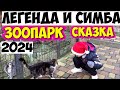 Праздничный Зоопарк Олега Зубкова 2024 / Львы Легенда и Симба / Zoo Oleg Zubkov