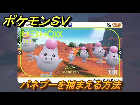 ポケモンsv バネブーの種族値 わざ 特性など基本情報まとめ スカーレット バイオレット 攻略大百科