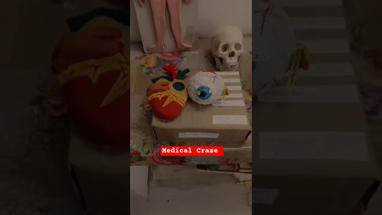 🔬 Anatomy Lab Tour | College Life 