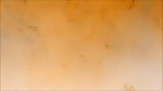 B5-26 Color Video Cc0 License