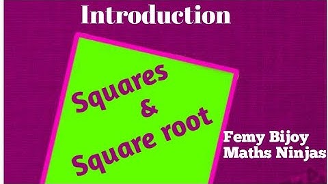 Squares and Square roots   Chapter 6 Introduction part 1 STD 8 Maths Ninjas