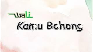 WALI - KAMU BOHONG (Lyrics)