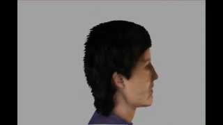 Screen Space Polygons : Faking Hair