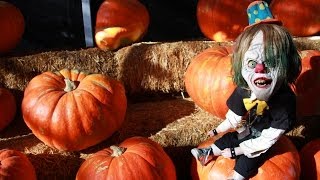 TRIPPY'S SCARY PUMPKIN TUTORIAL