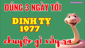 Chuyện Gì Sắp Xảy Ra Với Tuổi Đinh Tỵ 1977 - Đúng 3 Ngày Tới, Khi Cô Cho Con Số Ẵm Gọn Lộc Trời