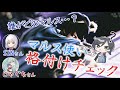 【格付けチェック】立ち回りキャラは 立ち回りだけで判別できるのか？【りぜあすのスマブラノート】