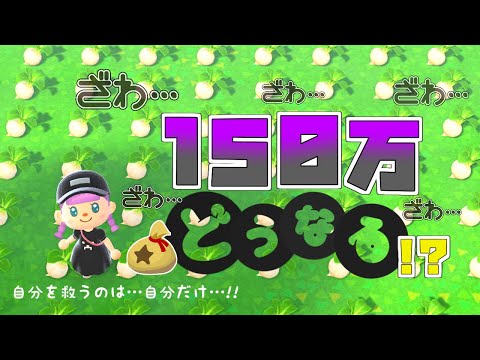 [Animal Crossing] Day 13: Get rich quick!! 1.5 million yen ...