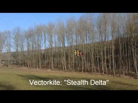 vector kite your life 1